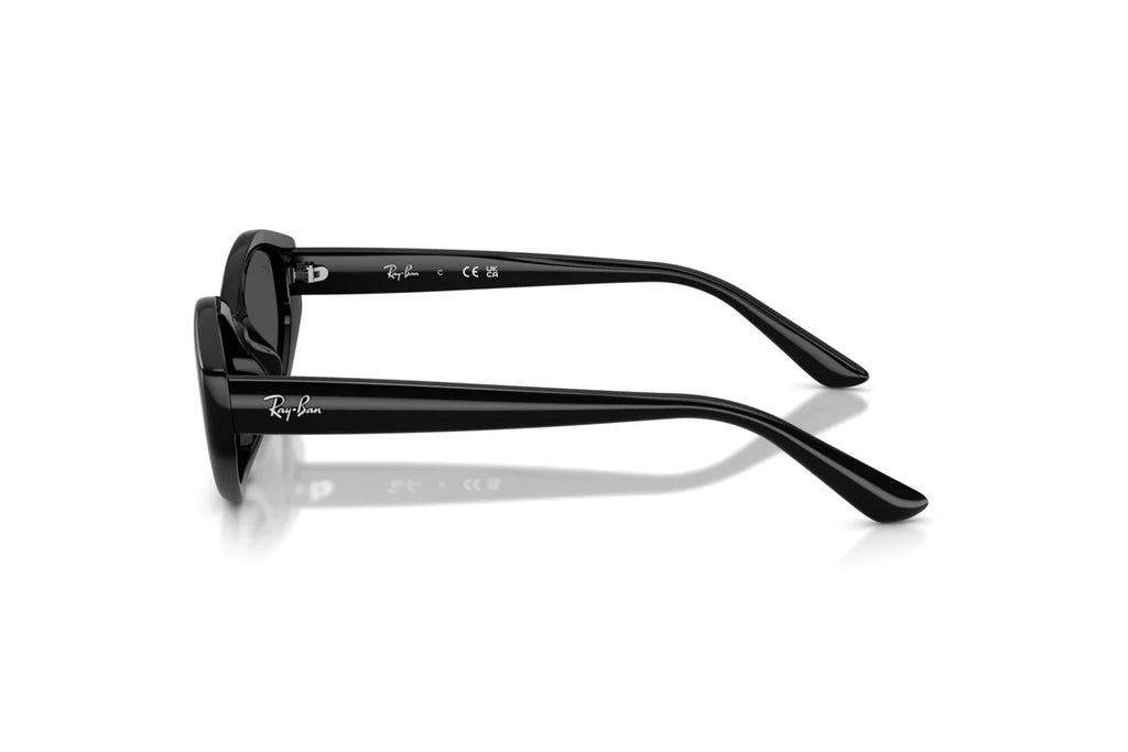 Ray-Ban RB4473D 6677/87 – Transparent Brown Grey