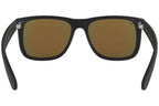 Ray-Ban Justin Color Mix RB4165 622/6Q 55mm – Matte Black Green Mirror