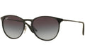 Ray-Ban Erika RB4171 622/T3 Polarized – Matte Black Grey Gradient Polarized