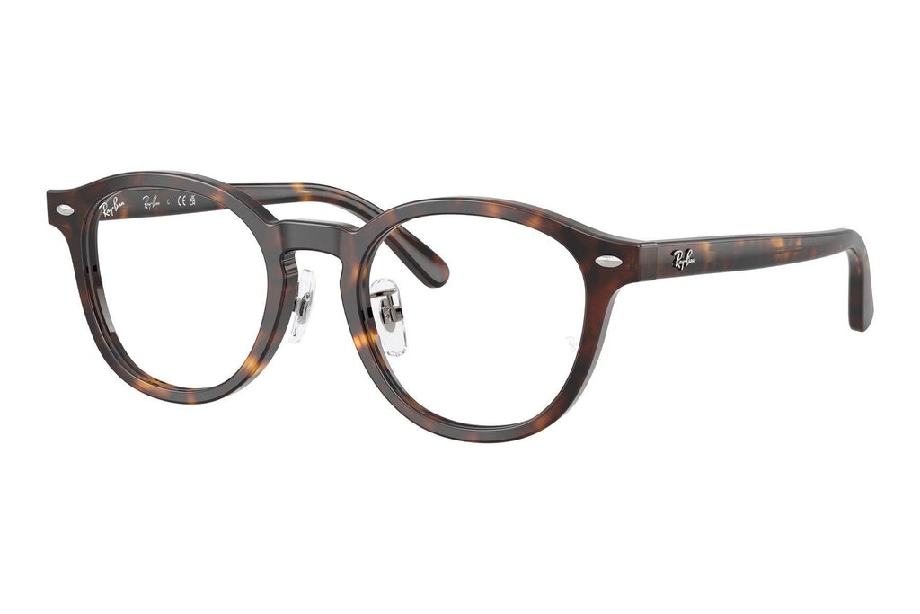 Ray-Ban RX5443D 2012 – Havana