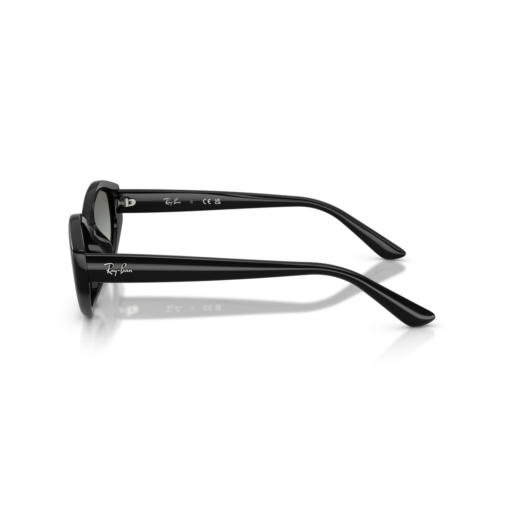 Ray-Ban RB4473 6677/11 – Transparent Brown Grey Gradient
